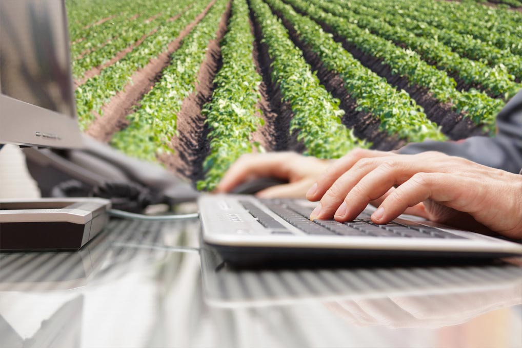 comunicacion en el sector agroalimentario