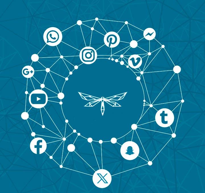 objetivos redes sociales