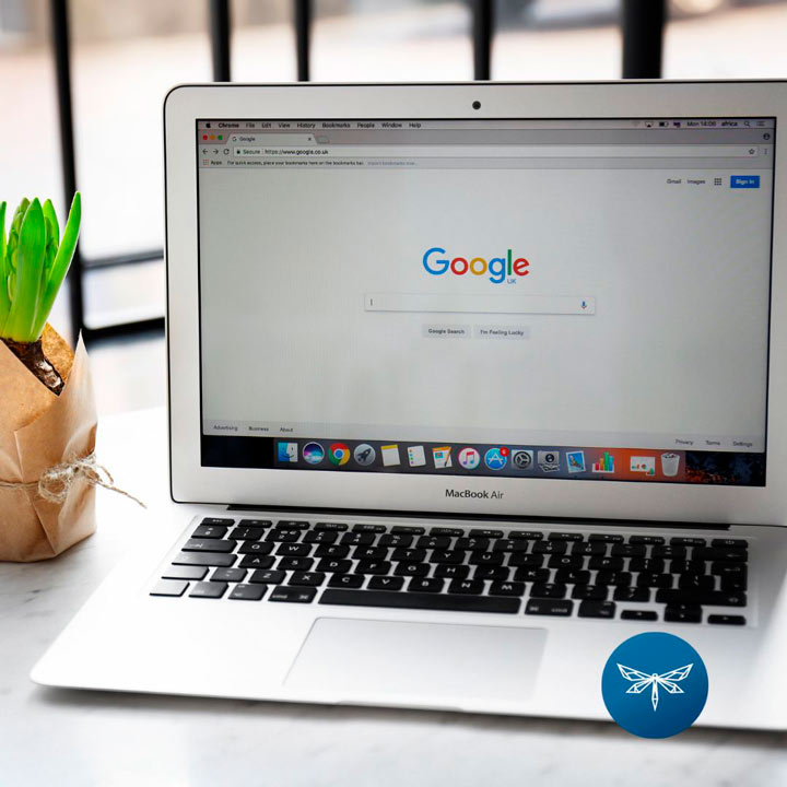 contenido nuevo en google