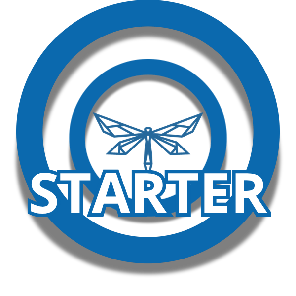 agente ia starter agencia la libelula