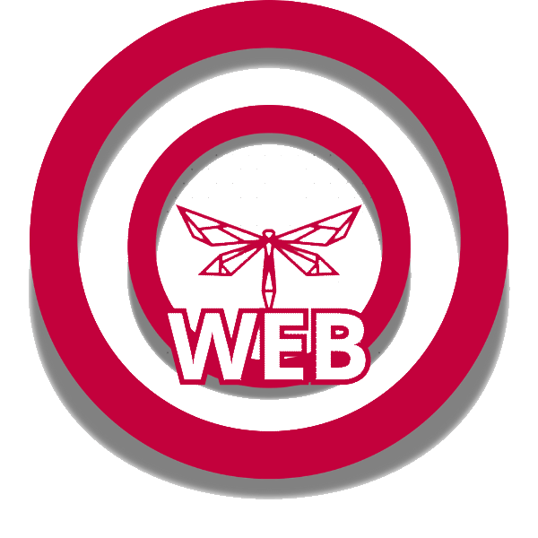 pack-diseño-web-agencia-la-libelula