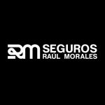 agencia seguros raul morales reale